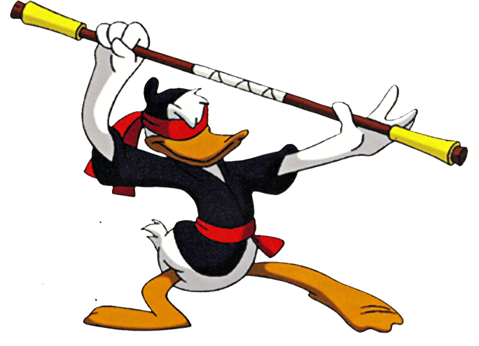 Maui Mallard in Cold Shadow: LEVEL CODES