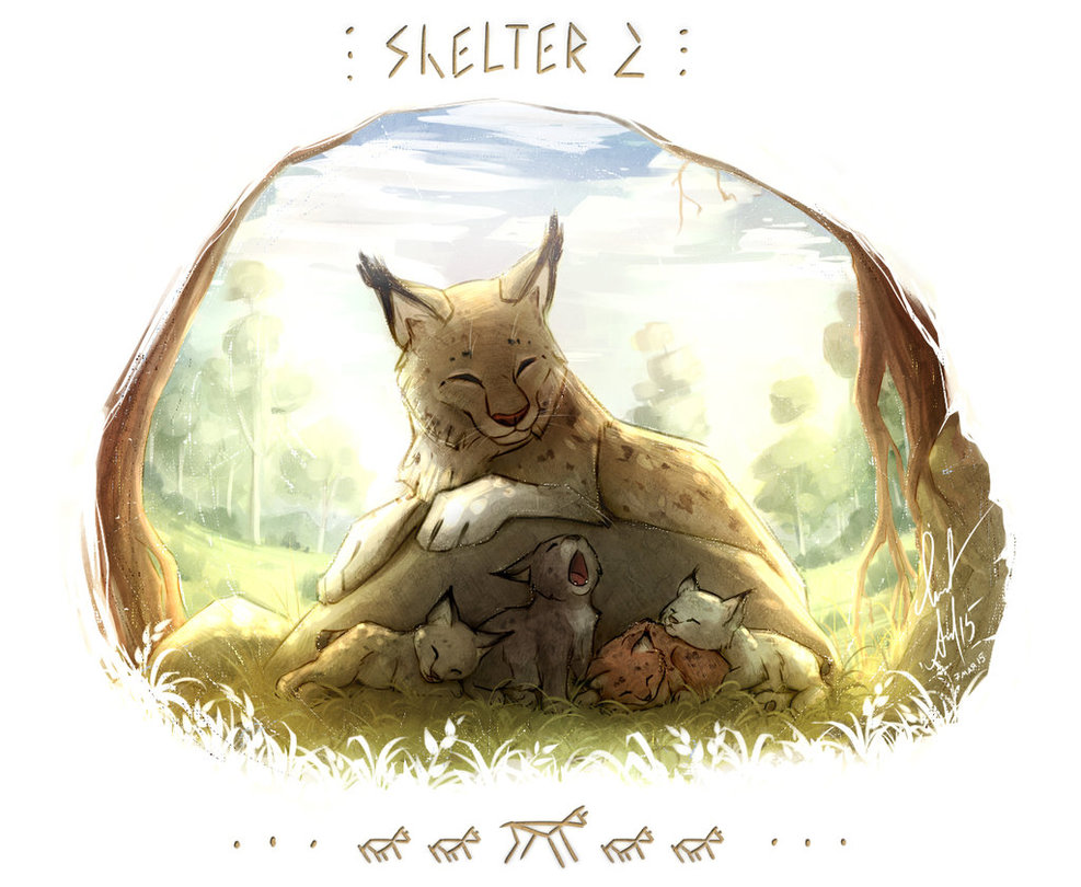 Shelter 2: Guide for Beginners