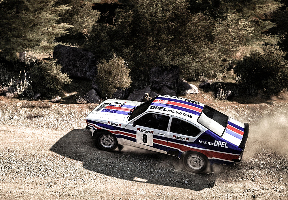 DiRT Rally: Best Skins and Liveries Guide