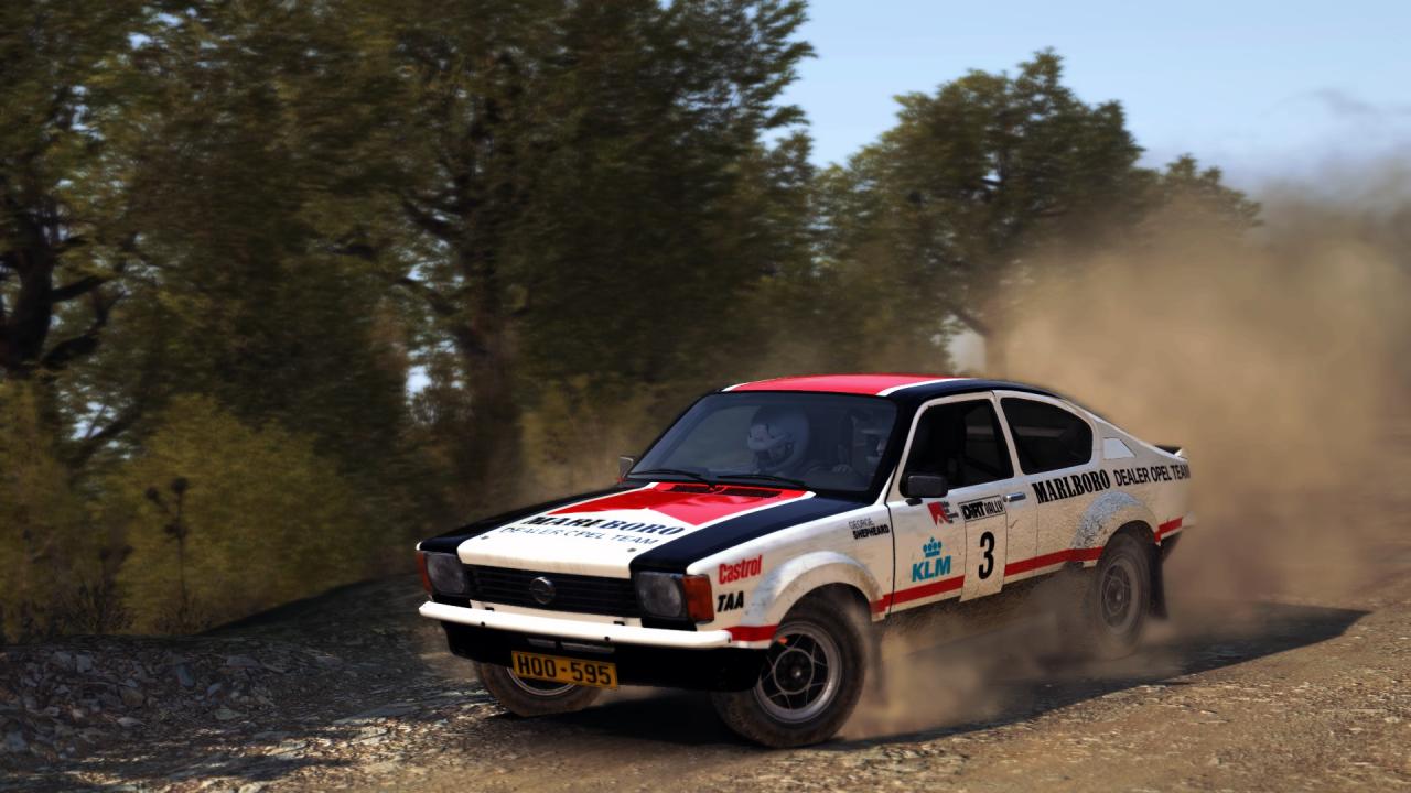 DiRT Rally: Best Skins and Liveries Guide