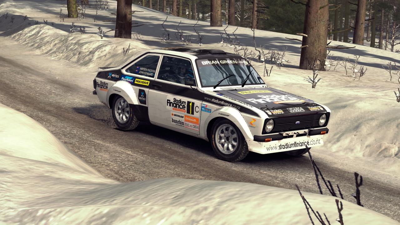 DiRT Rally: Best Skins and Liveries Guide