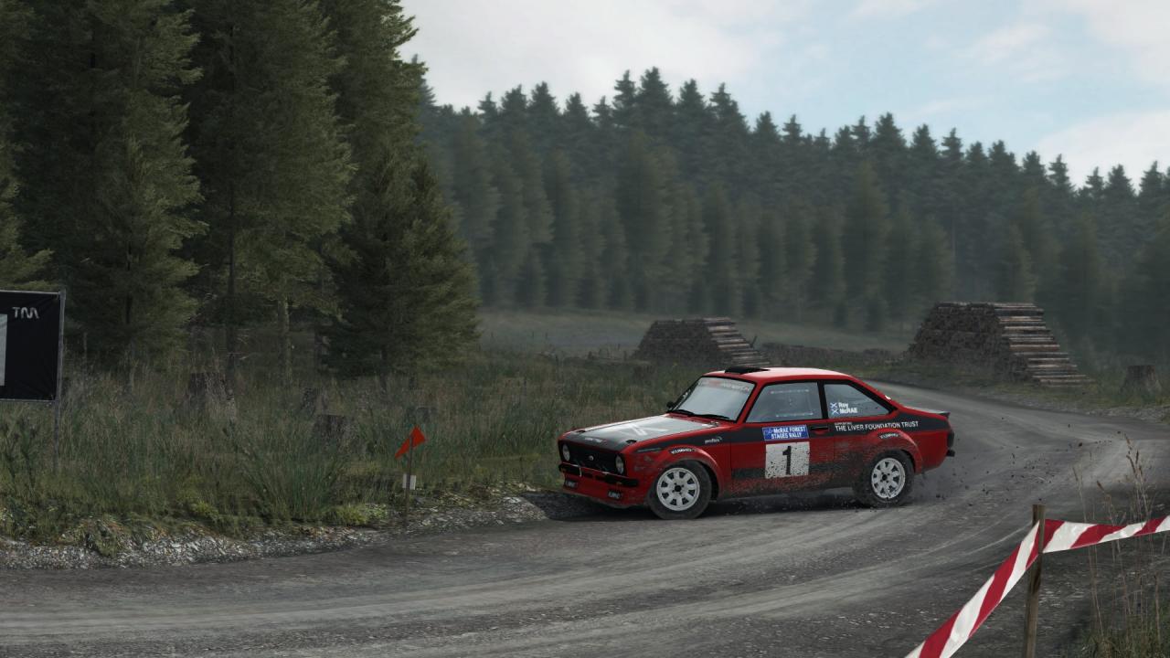 DiRT Rally: Best Skins and Liveries Guide