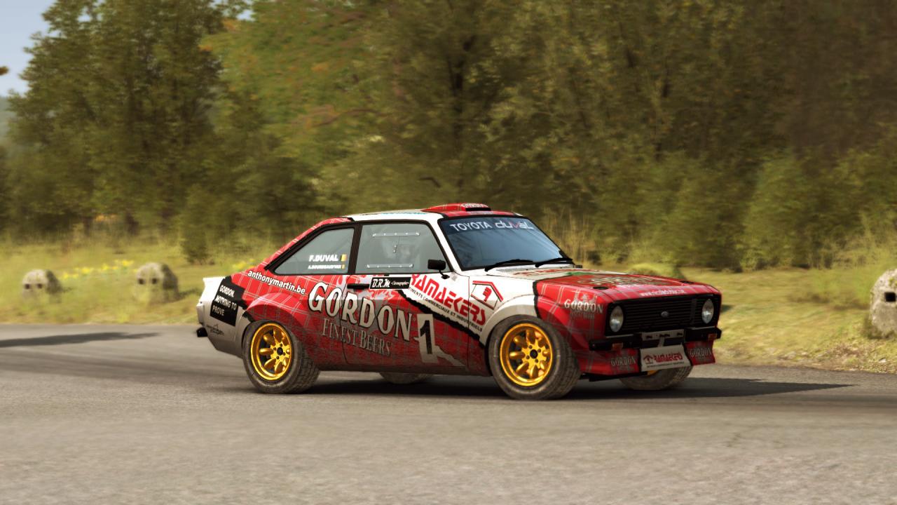 DiRT Rally: Best Skins and Liveries Guide