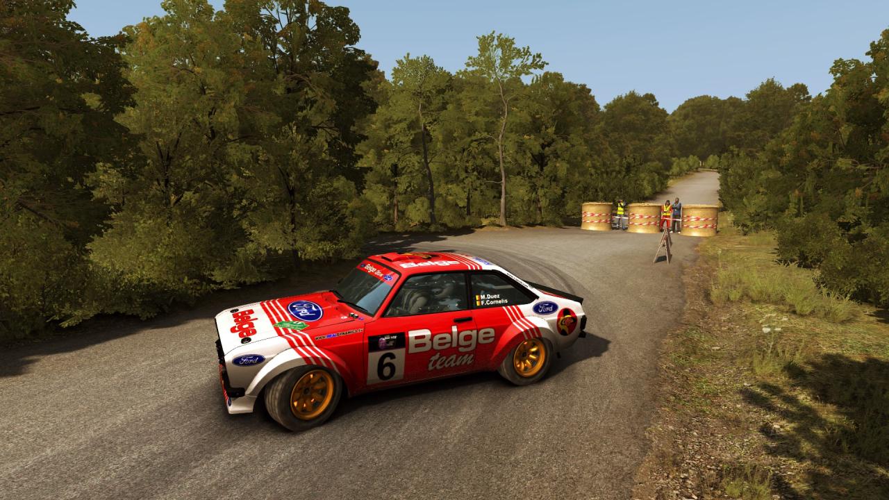 DiRT Rally: Best Skins and Liveries Guide