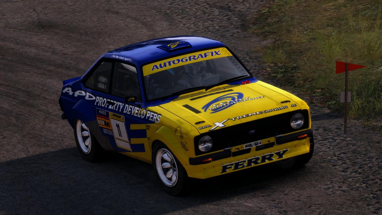 DiRT Rally: Best Skins and Liveries Guide