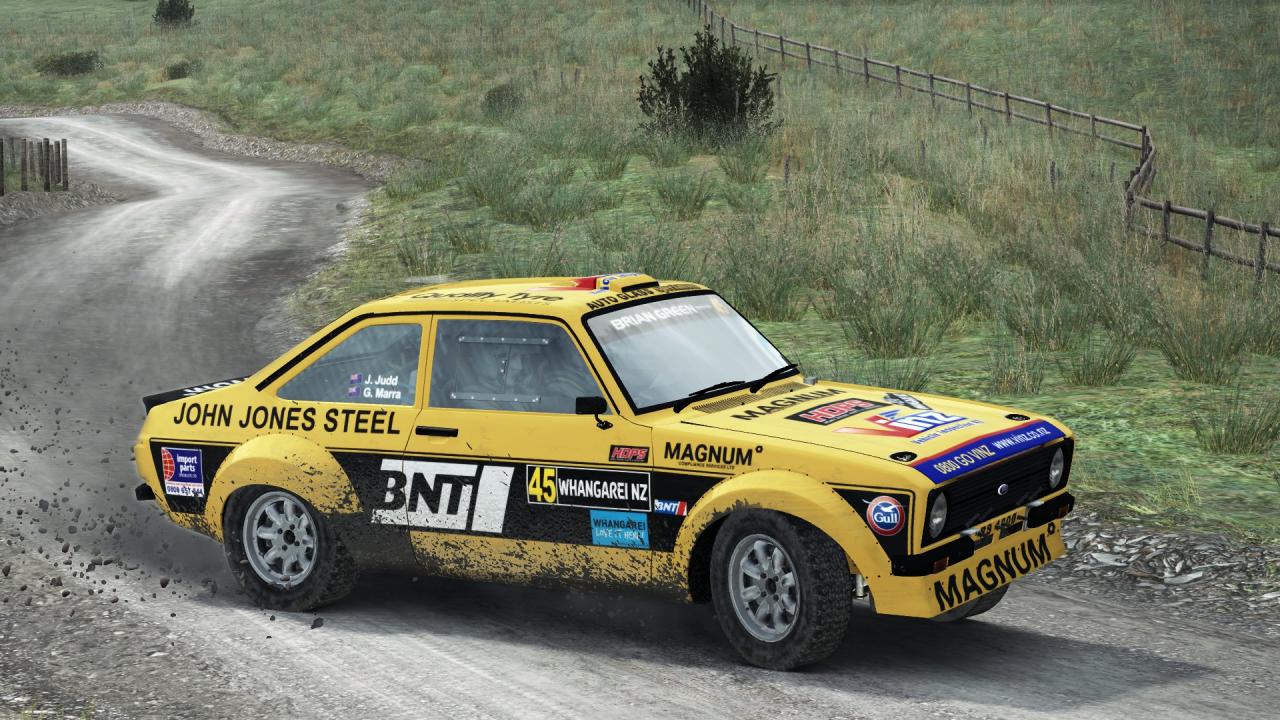 DiRT Rally: Best Skins and Liveries Guide