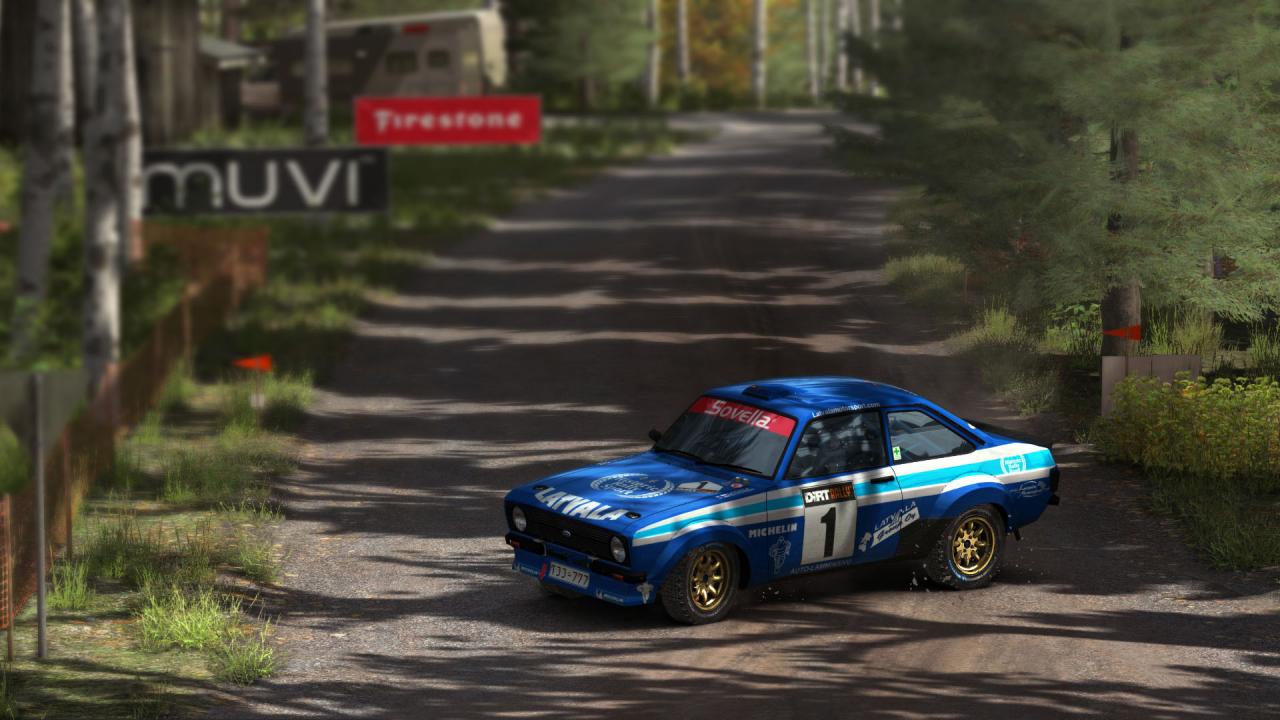 DiRT Rally: Best Skins and Liveries Guide