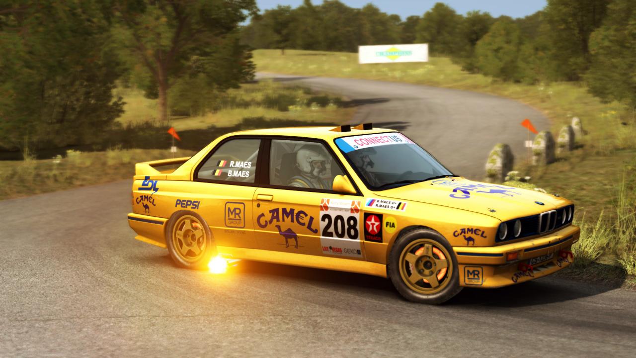 DiRT Rally: Best Skins and Liveries Guide