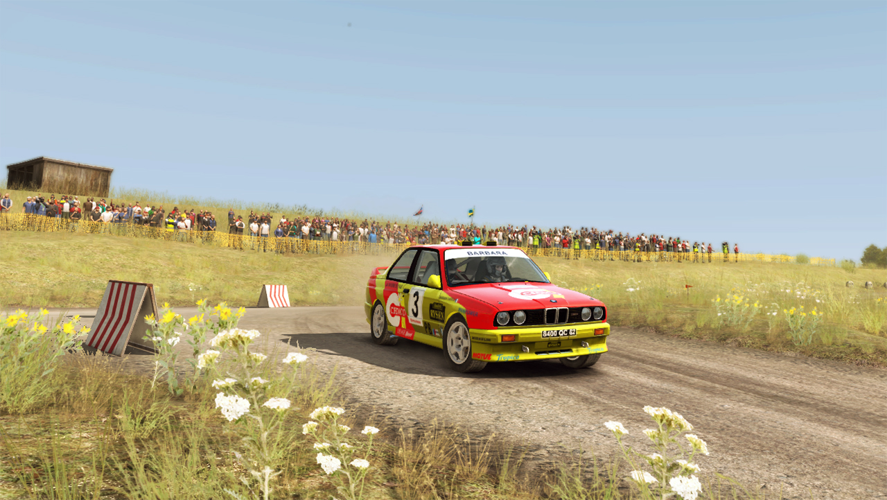 DiRT Rally: Best Skins and Liveries Guide