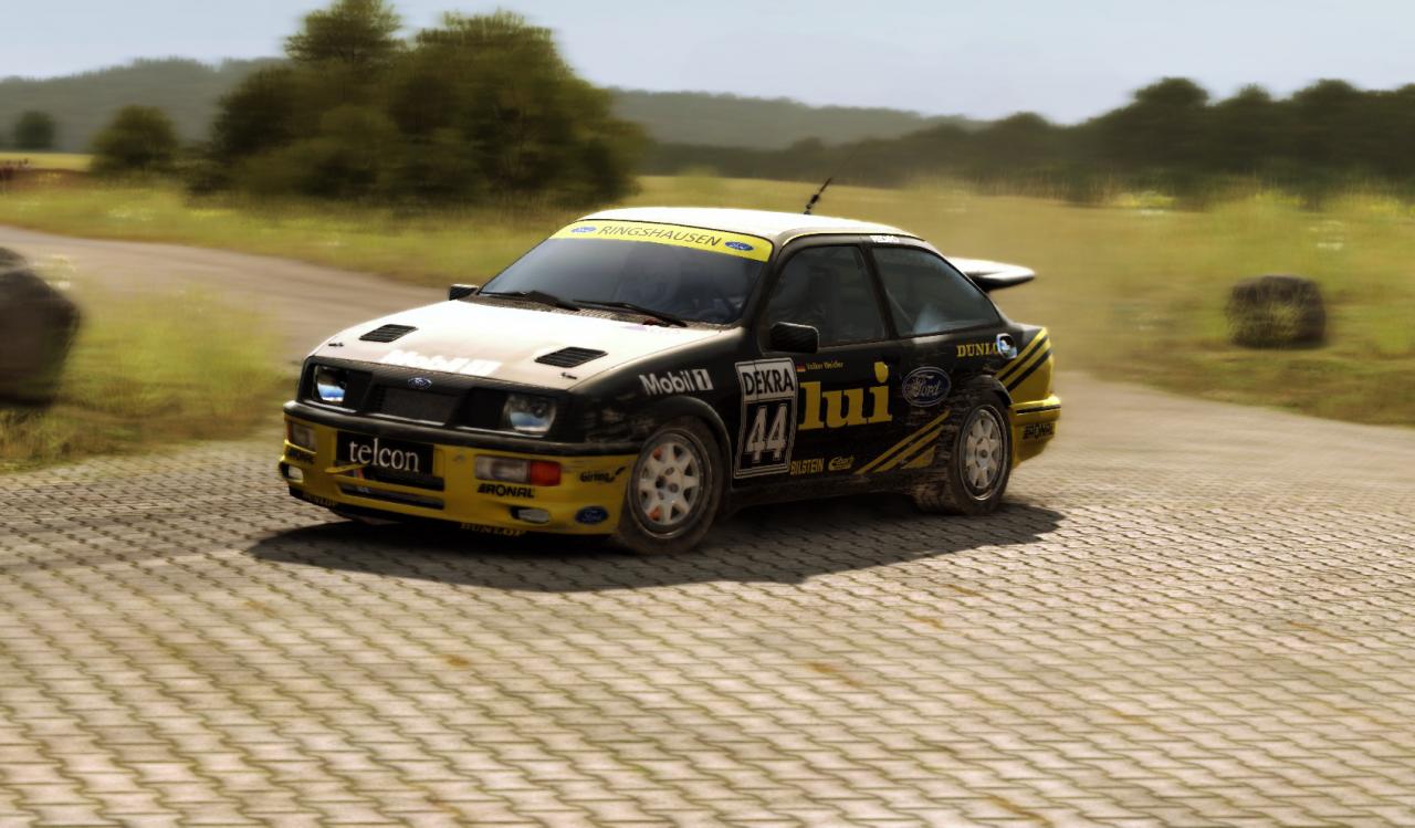 DiRT Rally: Best Skins and Liveries Guide