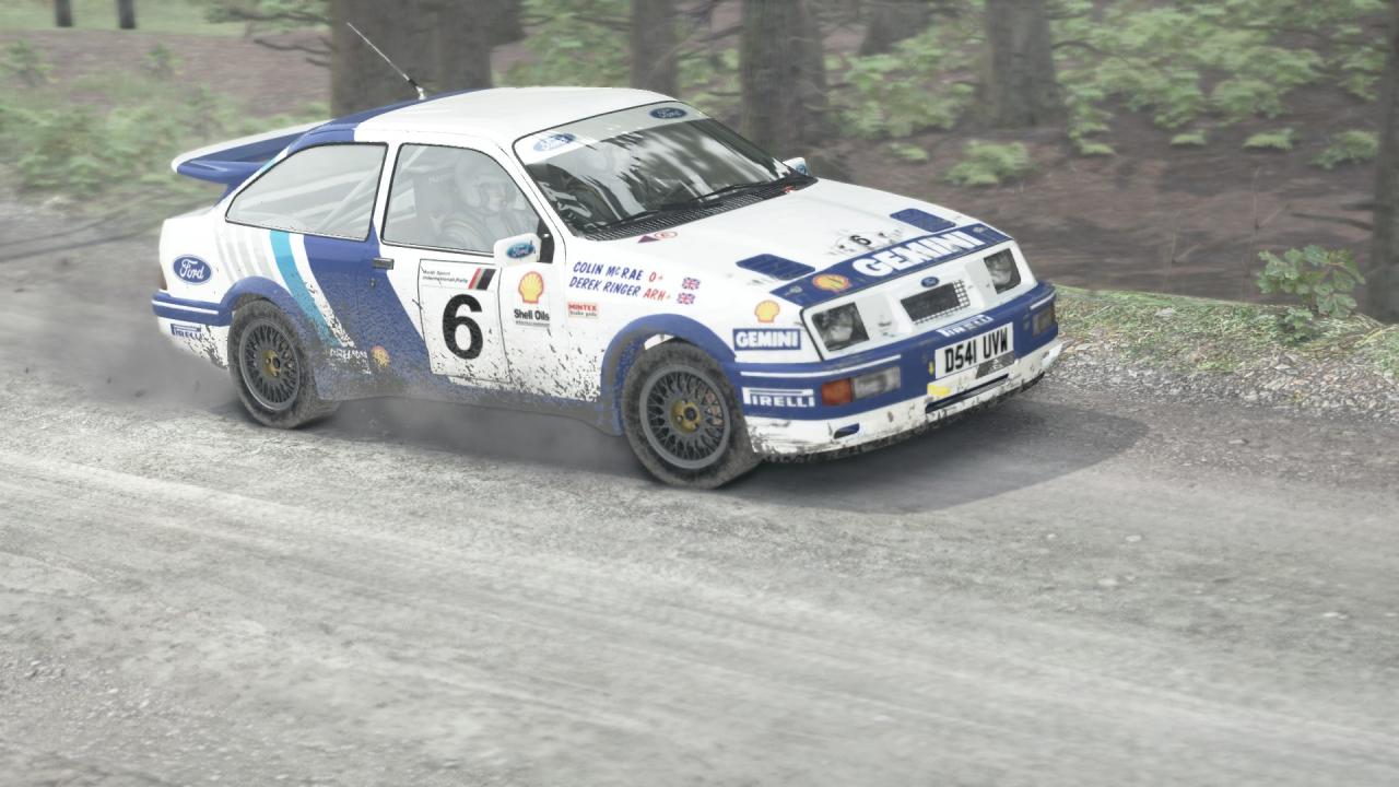 DiRT Rally: Best Skins and Liveries Guide