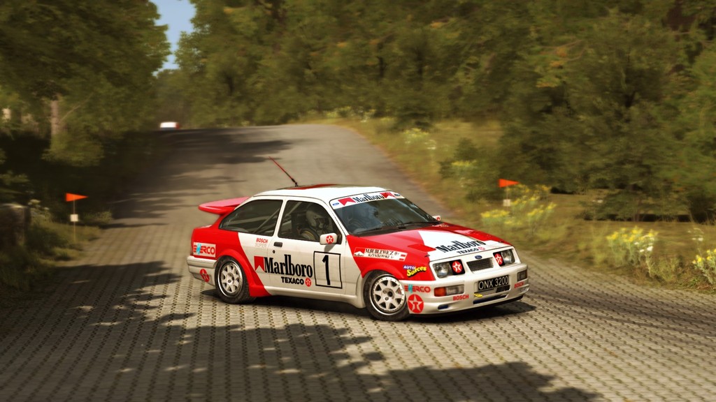 DiRT Rally: Best Skins and Liveries Guide