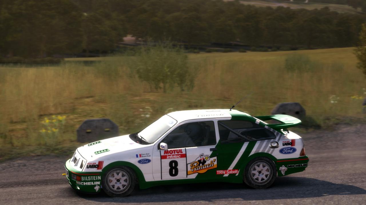 DiRT Rally: Best Skins and Liveries Guide