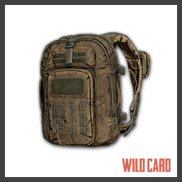 PUBG: All Skin Lists [2019 Updated]