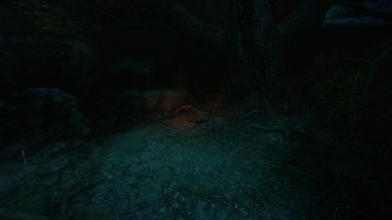 The Cursed Forest: Note Locations Guide