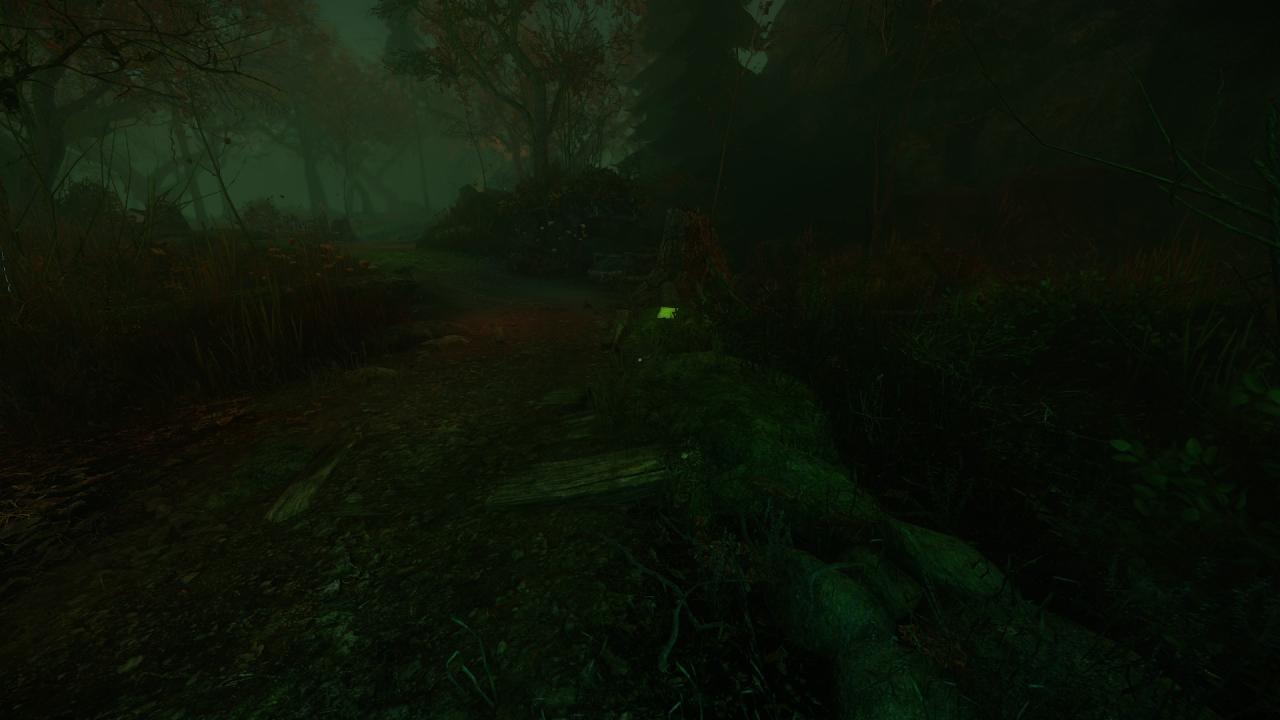 The Cursed Forest: Note Locations Guide