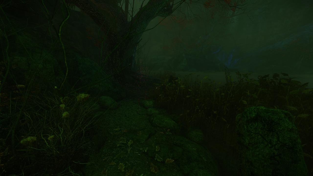 The Cursed Forest: Note Locations Guide