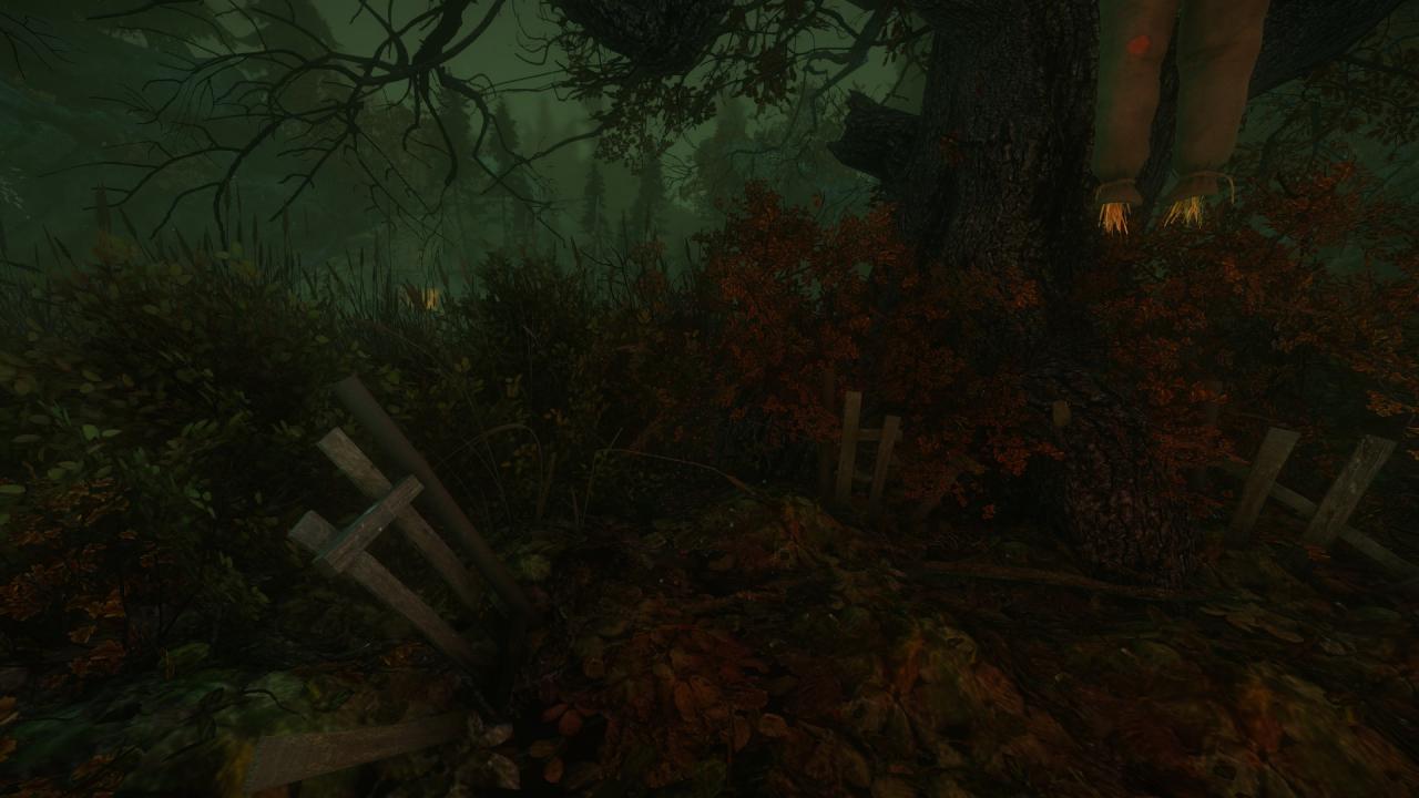 The Cursed Forest: Note Locations Guide