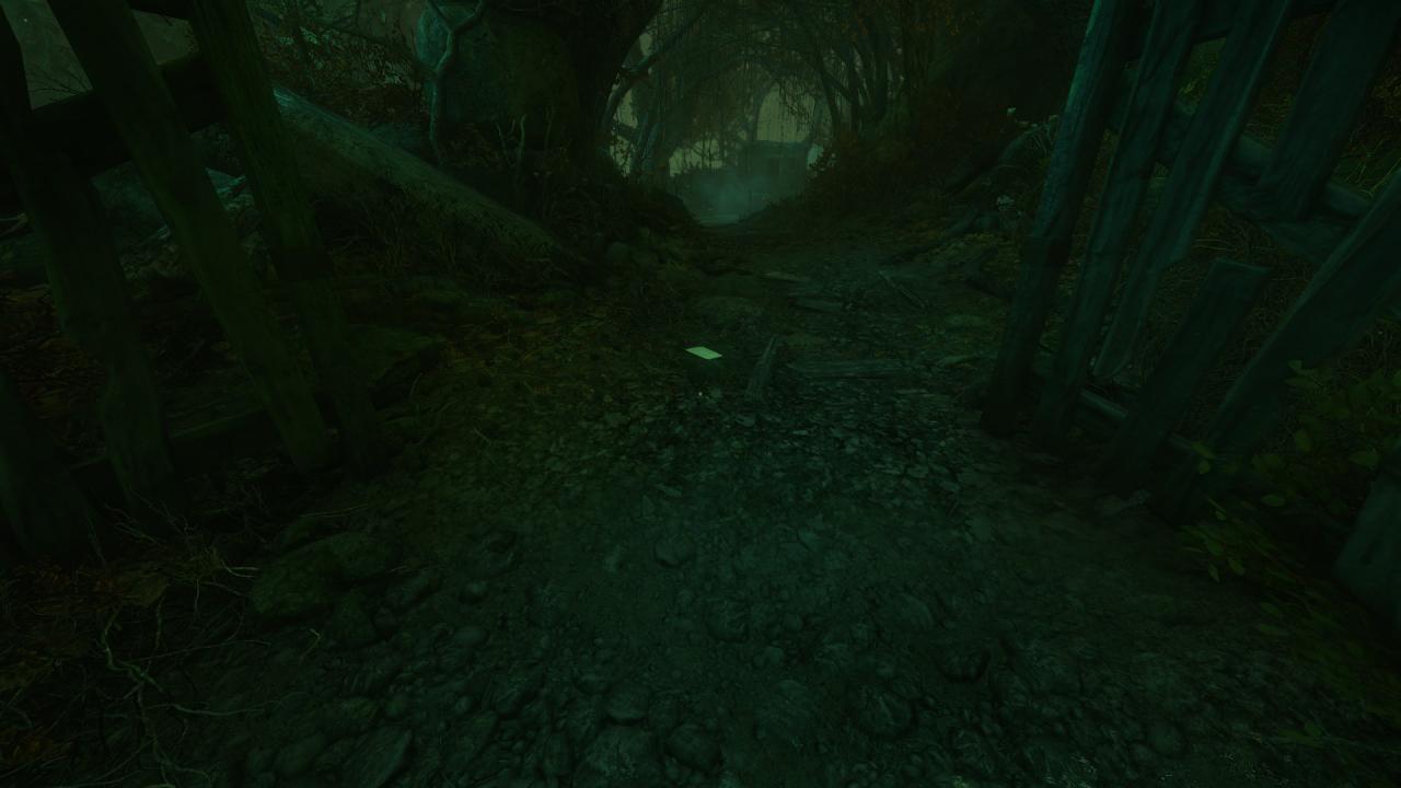 The Cursed Forest: Note Locations Guide