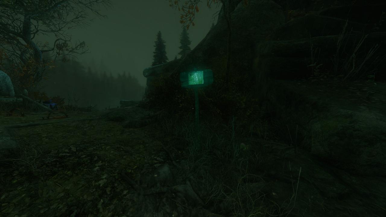 The Cursed Forest: Note Locations Guide