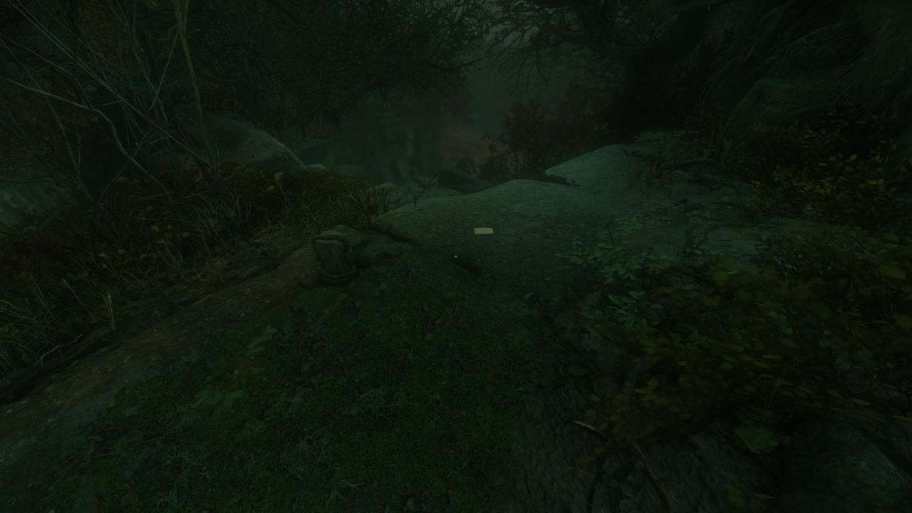 The Cursed Forest: Note Locations Guide